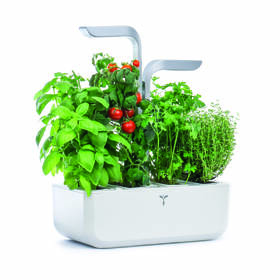 Chytrý květináč Véritable SMART bílý

 obrázek produktu 1 z 16