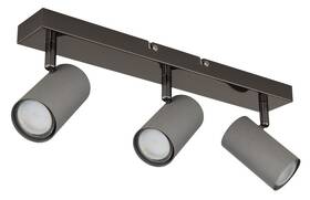 Stropní svítidlo GLOBO ROBBY 579113S šedé/chrom

 obrázek produktu 2 z 3