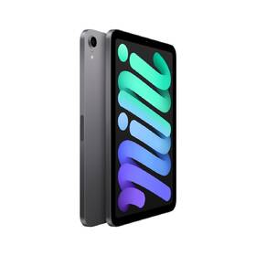 Dotykový tablet Apple iPad mini (2021) Wi-Fi 256GB - Space Grey 

 obrázek produktu 1 z 4