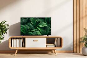 Televize TCL 32S5L 

 obrázek produktu 14 z 15