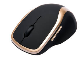 Myš Connect IT WM2200 černá/zlatá

 obrázek produktu 2 z 7