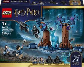 Stavebnice LEGO® Harry Potter™ 76475 Zapovězený les: Expecto Patronum 

 obrázek produktu 7 z 8