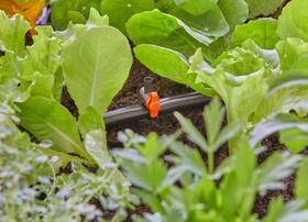 Ventil regulační Gardena MicroDrip System 4,6 mm (5 ks) 

 obrázek produktu 3 z 5