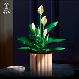Stavebnice LEGO® Botanicals 11504 Lopatkovec 

 obrázek produktu 6 z 9