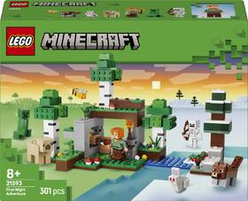 Stavebnice LEGO® Minecraft®  21593 První noční dobrodružství 

 obrázek produktu 9 z 9