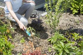 Vypichovák plevele Gardena 967095101 

 obrázek produktu 3 z 3