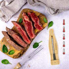 Teploměr do masa Tesla BBQ200 nerez
