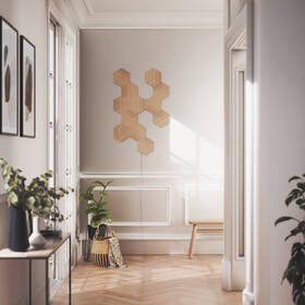 LED světlo Nanoleaf Elements Hexagons Starter Kit 13 Pack 

 obrázek produktu 4 z 7