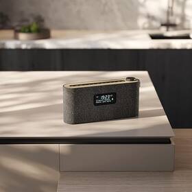 Radiopřijímač s DAB+ Loewe Radio Frequency černý

 obrázek produktu 6 z 6