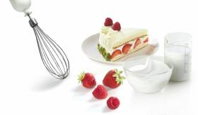 Ponorný mixér Bosch MSM66130 šedý/bílý

 obrázek produktu 4 z 11