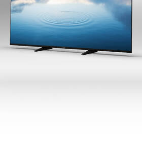 Televize Panasonic TX-65LX940E 
