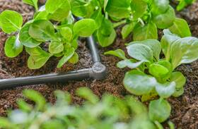 L-spojka Gardena MicroDrip System 4,6 mm (10 ks) 

 obrázek produktu 4 z 5