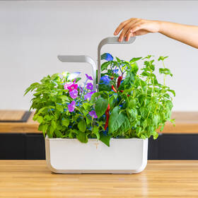 Chytrý květináč Véritable SMART bílý

 obrázek produktu 11 z 16