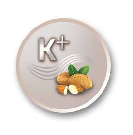 Žehlička na vlasy Remington S8540 zlatá

 obrázek produktu 8 z 13