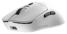 Myš White Shark MAXIMUS bílá

 obrázek produktu 3 z 5