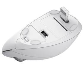 Myš Trust Verto Ergonomic Wireless bílá

 obrázek produktu 5 z 11