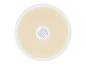 Stropní svítidlo GLOBO RAFFY 41366W bílé

 obrázek produktu 7 z 9