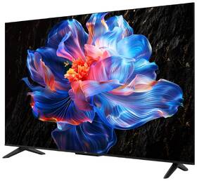 Televize TCL 50P6K 

 obrázek produktu 4 z 16