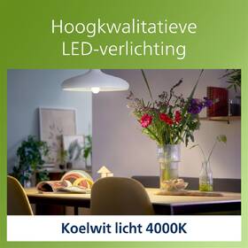 Žárovka LED Philips 75W, A60, E27, neutrální bílá 

 obrázek produktu 3 z 3