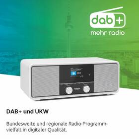 Radiopřijímač s DAB+ TechniSat DIGITRADIO 330 stříbrný

 obrázek produktu 11 z 14