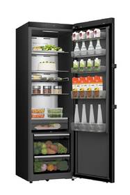Chladnička Hisense RL5K370GSFC1 černá

 obrázek produktu 4 z 7