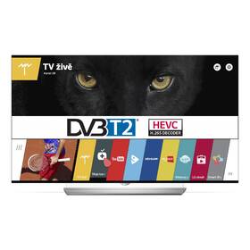 Televize LG 65EF950V stříbrný

 obrázek produktu 1 z 12