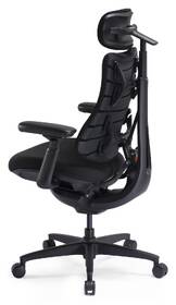 Ergonomická židle LiberNovo Omni SE, 48cm černá

 obrázek produktu 5 z 19