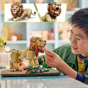 Stavebnice LEGO® Creator 3 v 1 31386 Divoká zvířata: Majestátní lev 

 obrázek produktu 6 z 8
