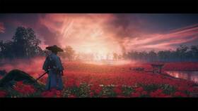 Hra Sony Ghost of Tsushima - Director’s Cut 

 obrázek produktu 6 z 10