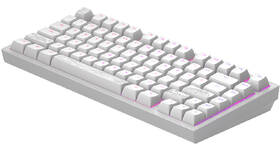 Klávesnice Dark Project ALU Terra Nostra R2, US bílá

 obrázek produktu 2 z 8