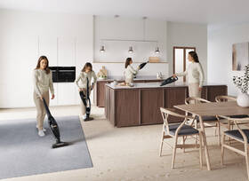 Tyčový vysavač Electrolux WQ61-42GG 

 obrázek produktu 7 z 8