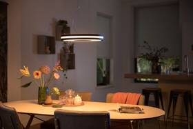 Závěsné svítidlo Philips Being černé

 obrázek produktu 6 z 6