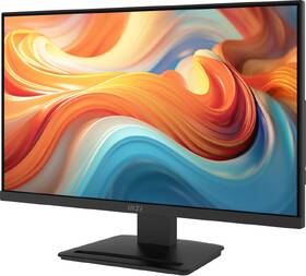 Monitor MSI PRO MP241 E14V černý

 obrázek produktu 2 z 9