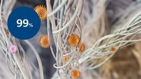 Filtr Philips FY3432/10 černý

 obrázek produktu 2 z 6