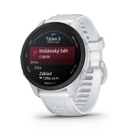 Chytré hodinky Garmin Forerunner 70 šedé

 obrázek produktu 3 z 12