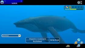 Hra Nintendo Switch Endless Ocean Luminous 

 obrázek produktu 7 z 9