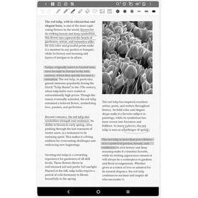 Grafický tablet XPPen Magic Note Pad černý/stříbrný

 obrázek produktu 6 z 8