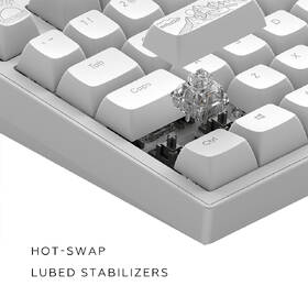 Klávesnice Dark Project ALU Terra Nostra R2, US bílá

 obrázek produktu 7 z 8