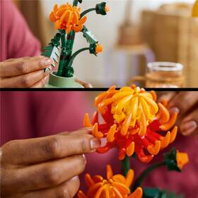 Stavebnice LEGO® Botanicals 10368 Chryzantéma 

 obrázek produktu 3 z 8