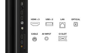 Televize TCL 55P755 
