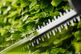 Nůžky na živý plot Gardena EasyCut 55/18V (bez baterie) 14735-55 

 obrázek produktu 2 z 4