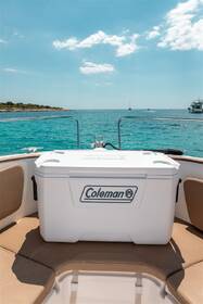 Chladicí box Coleman 70QT CHEST bílý

 obrázek produktu 3 z 9