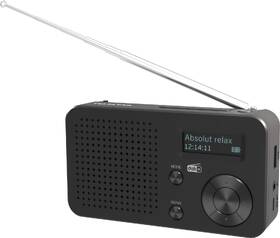 Radiopřijímač s DAB+ Telestar TOP 100 černý

 obrázek produktu 2 z 3