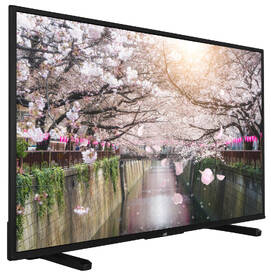 Televize JVC LT-50VU2205 
