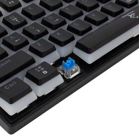 Klávesnice White Shark ASHIKO, US layout, Blue Switch černá barva
