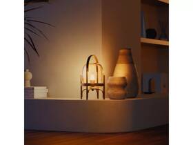 Chytrá žárovka Philips Hue Philips Hue W B39 E14 EU (2ks) bílá

 obrázek produktu 5 z 5