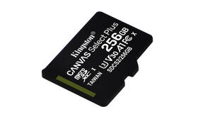 Paměťová karta Kingston MicroSDXC 256GB UHS-I U1 (100R/85W) 

 obrázek produktu 1 z 2