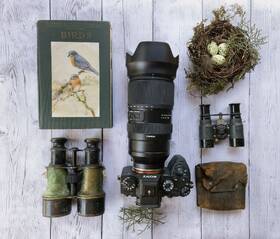 Objektiv Tamron 50-400mm F/4.5-6.3 Di III VC VXD (Sony) černý

 obrázek produktu 10 z 11