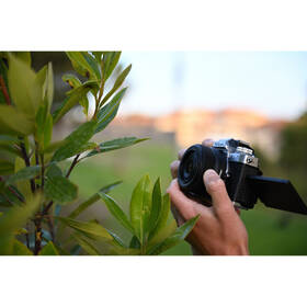 Objektiv Nikon Z DX 24 mm f/1.7 černý

 obrázek produktu 5 z 5