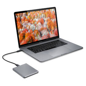 Externí pevný disk 2,5" Lacie Mobile Drive 2TB, USB-C šedý

 obrázek produktu 6 z 7